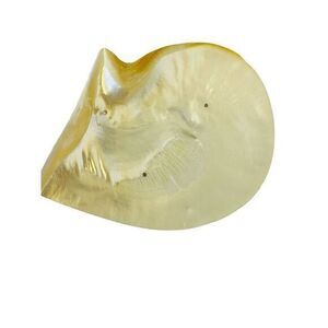 Vintage Large Genuine Mother Of Pearl Sea Shell Caviar Dish Trinket‎ Tray Plate